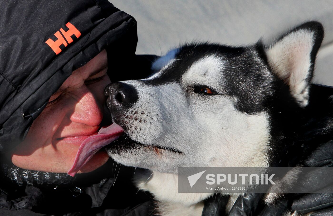 Mass competition "Draught Dogs' Fun Starts"