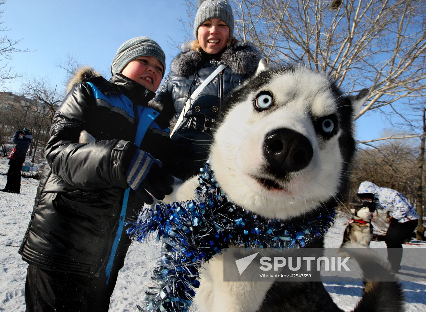 Mass competition "Draught Dogs' Fun Starts"