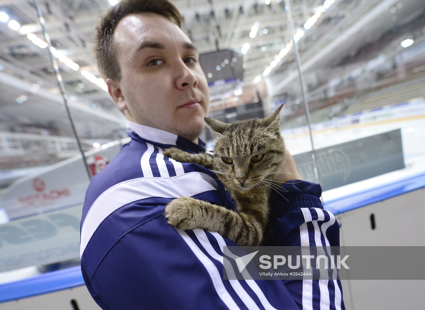 HC Admiral's mascot, cat Matroskina
