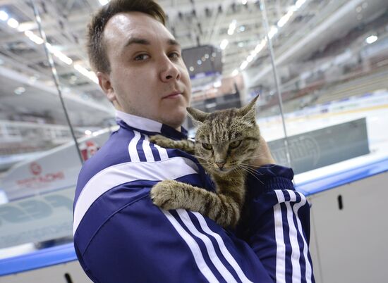 HC Admiral's mascot, cat Matroskina