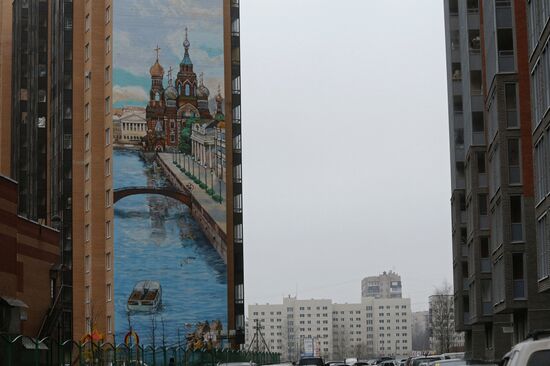 Paintings on walls of buildings in St. Petersburg