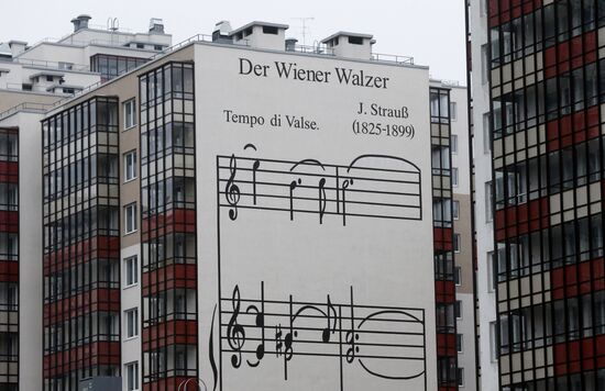 Paintings on walls of buildings in St. Petersburg