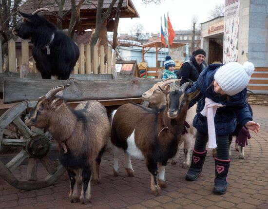 Leningrad Zoo