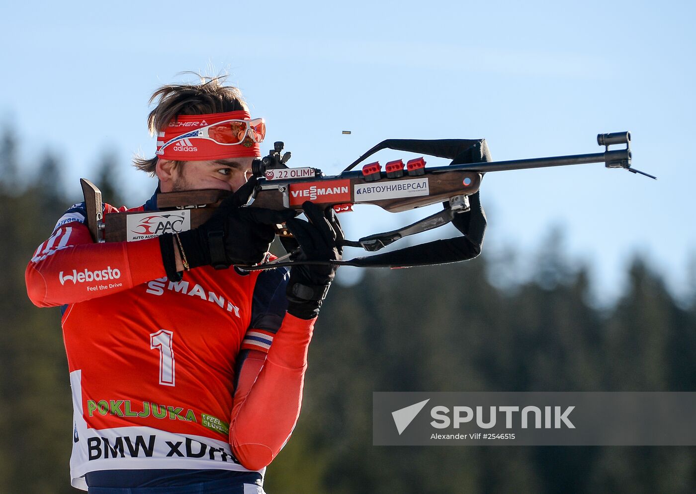 Biathlon. 3rd stage of World Cup. Men. Pursuit