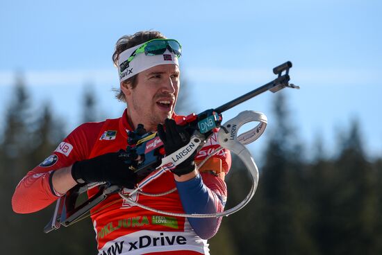 Biathlon. 3rd stage of World Cup. Men. Pursuit