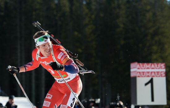 Biathlon. 3rd stage of World Cup. Men. Pursuit