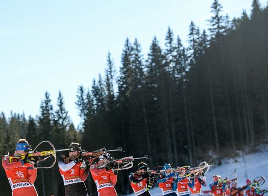 Biathlon. 3rd stage of World Cup. Men. Pursuit