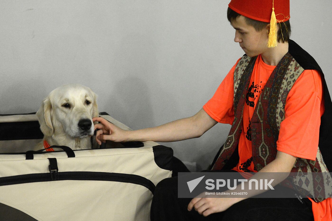 Golden Collar dog show in Moscow