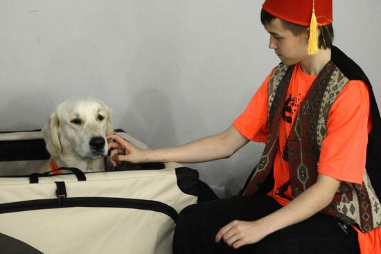 Golden Collar dog show in Moscow