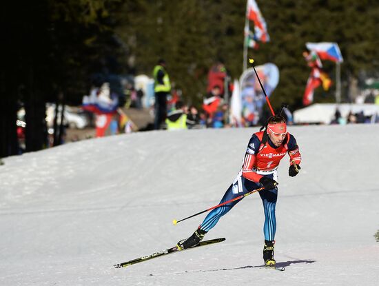 Biathlon. 3rd stage of World Cup. Men. Pursuit
