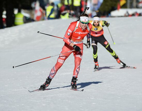 Biathlon. 3rd stage of World Cup. Men. Pursuit