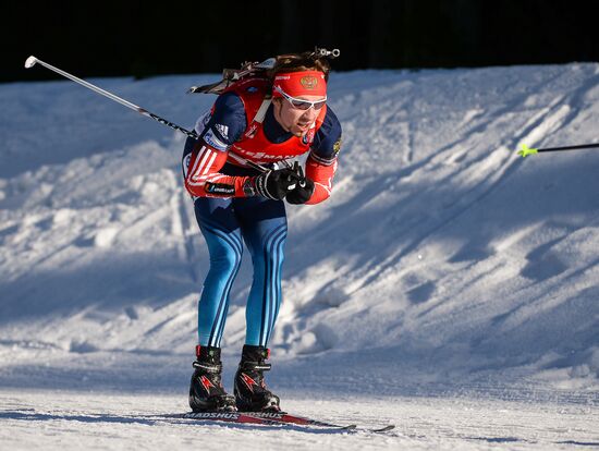 Biathlon. 3rd stage of World Cup. Men. Pursuit