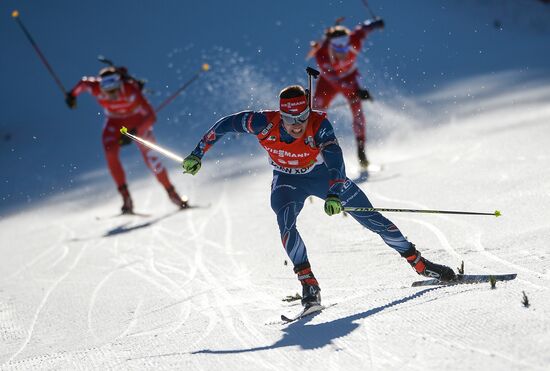 Biathlon. 3rd stage of World Cup. Men. Pursuit