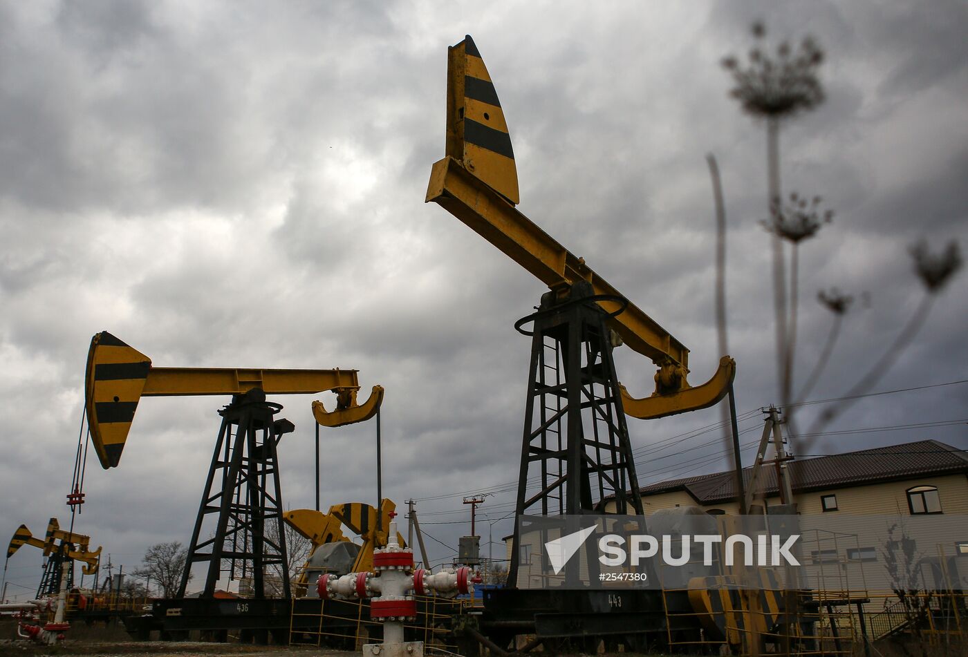 Oil pumps in Akhtyrsky settlement, Krasnodar Territory