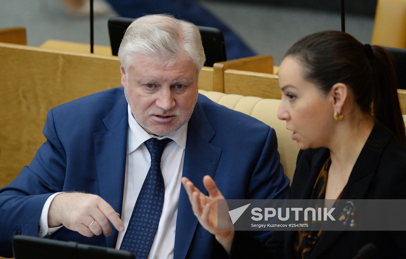 Last plenary meeting of the State Duma of the Russian Federation in 2014