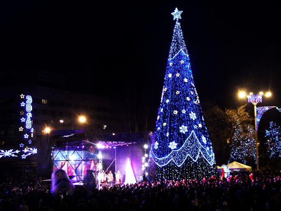 Christmas tree in Donetsk lights up