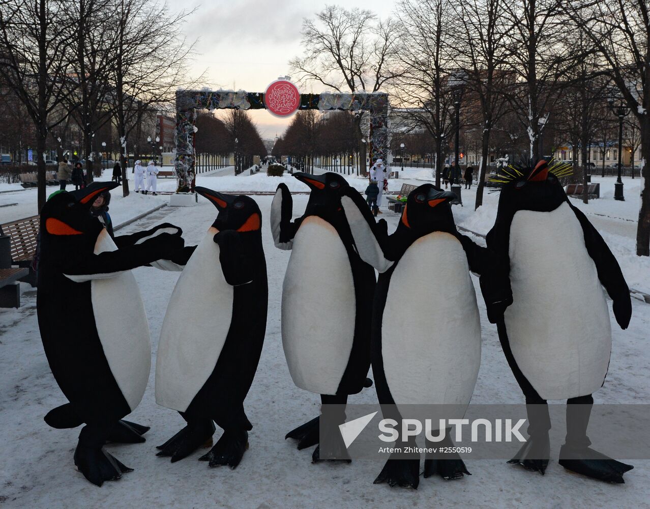 The Best Winter City New Year festival
