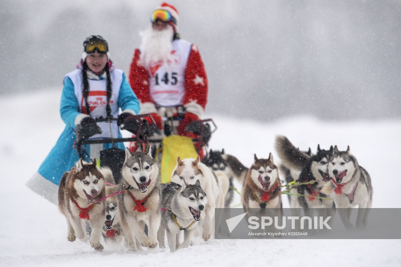 "Christmas race - 2015" sled dog race