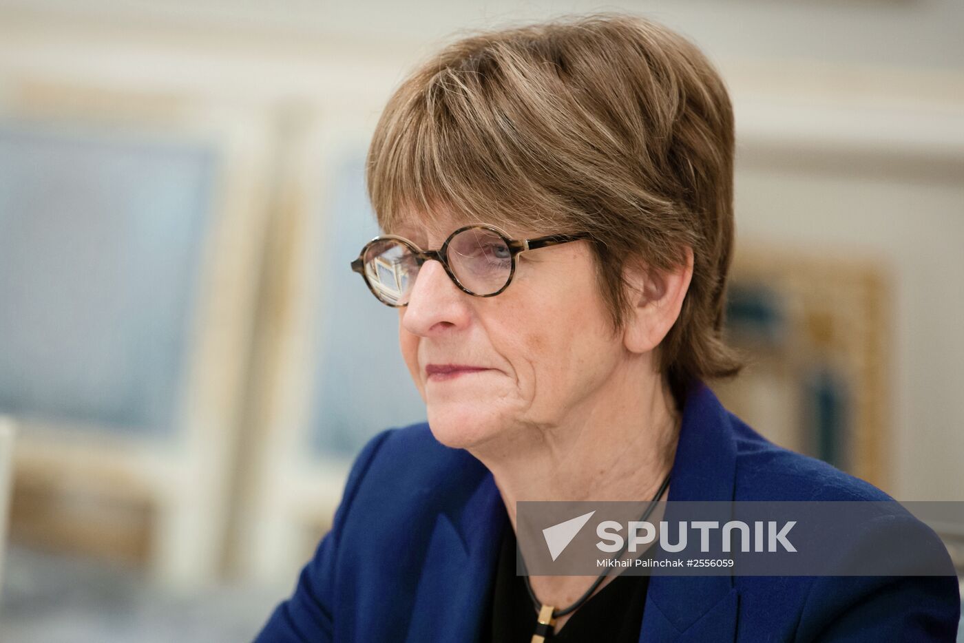 Ukrainian President Petro Poroshenko meets with PACE Presidential Committee delegation