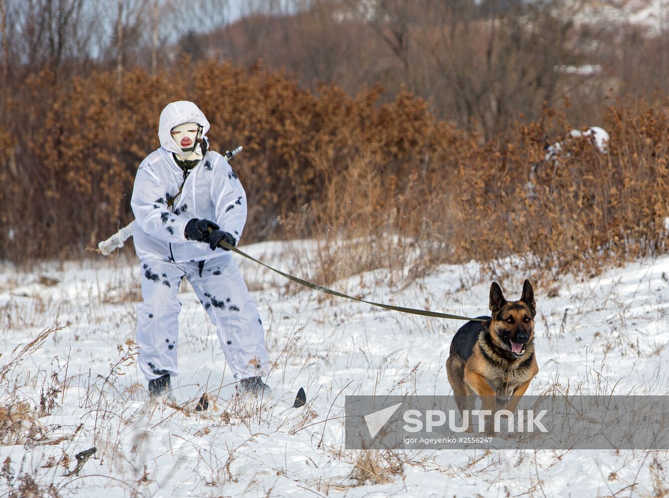 Training of cadets in the Arctic division DVVKU