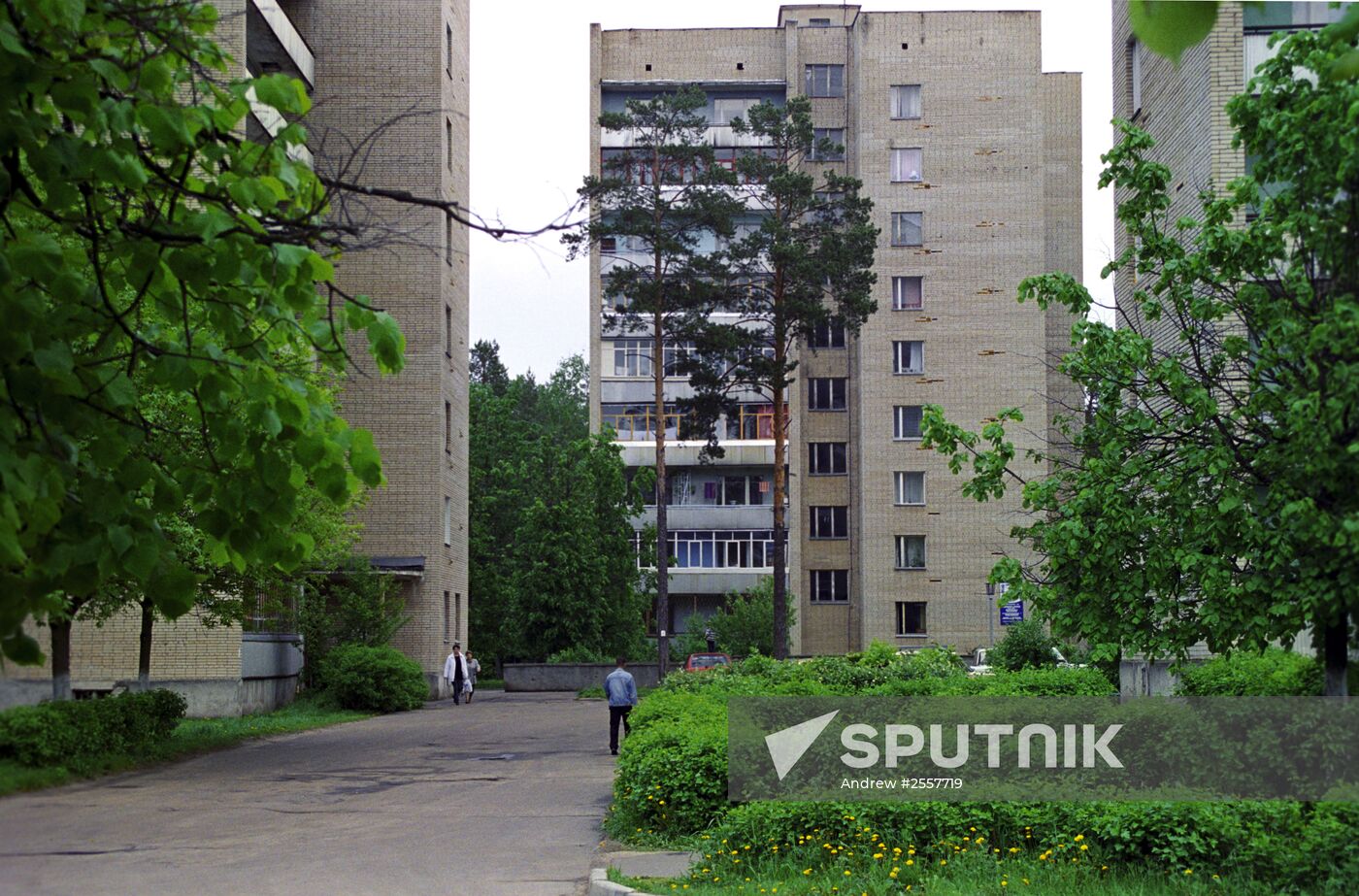 Town of Portvino near Moscow