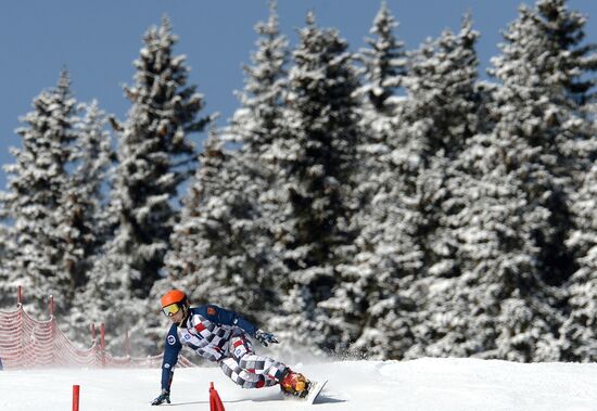 FIS Freestyle Ski and Snowboarding World Championships 2015. Parallel slalom. Training
