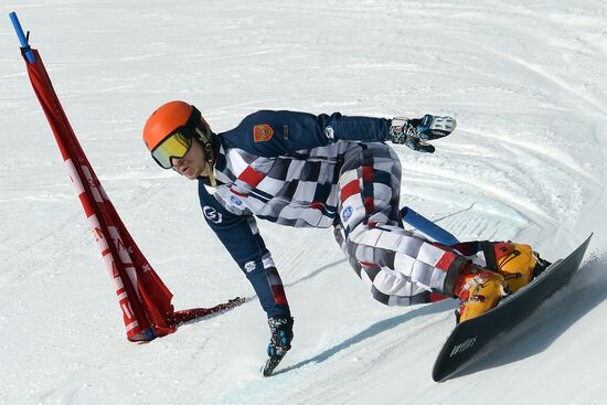 FIS Freestyle Ski and Snowboarding World Championships 2015. Parallel slalom. Training