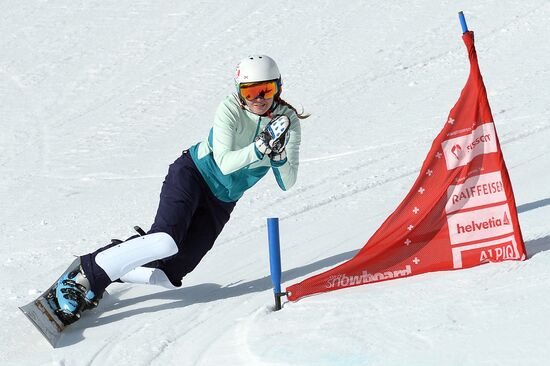 Snowboard. World Championship. Parallel slalom. Training
