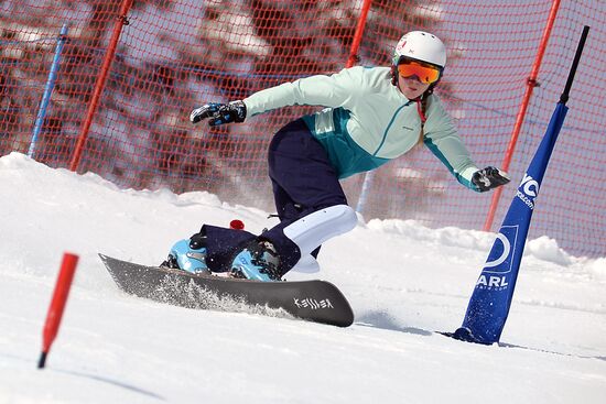 Snowboard. World Championship. Parallel slalom. Training