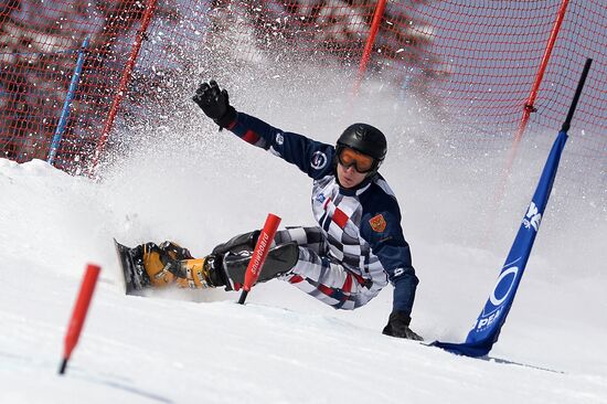 FIS Freestyle Ski and Snowboarding World Championships 2015. Parallel slalom. Training