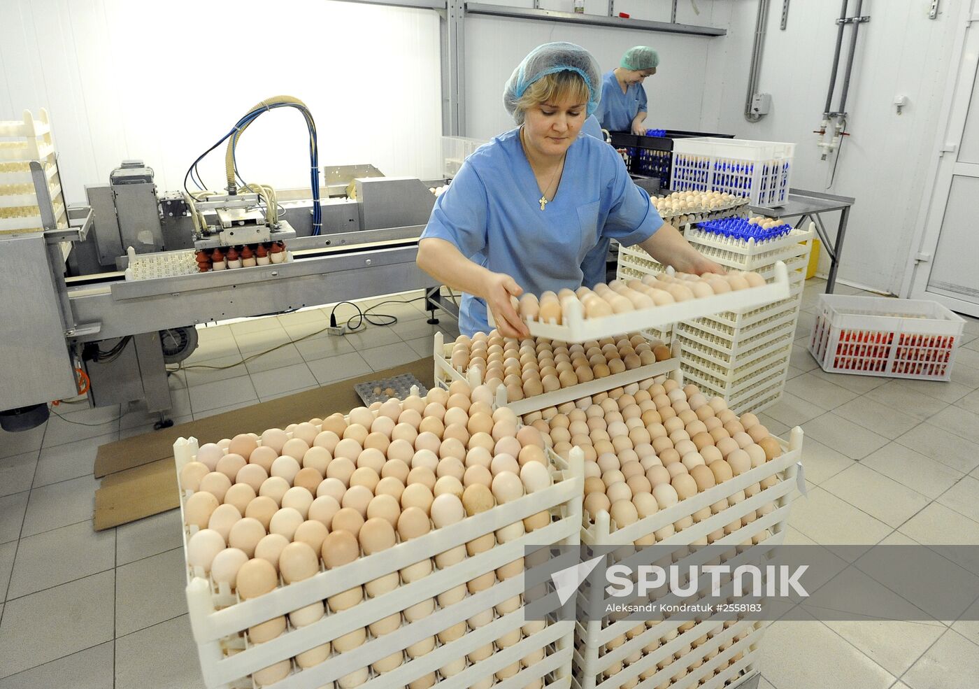 Nagaybaksky poultry complex in Chelyabinsk region