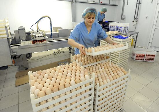 Nagaybaksky poultry complex in Chelyabinsk region