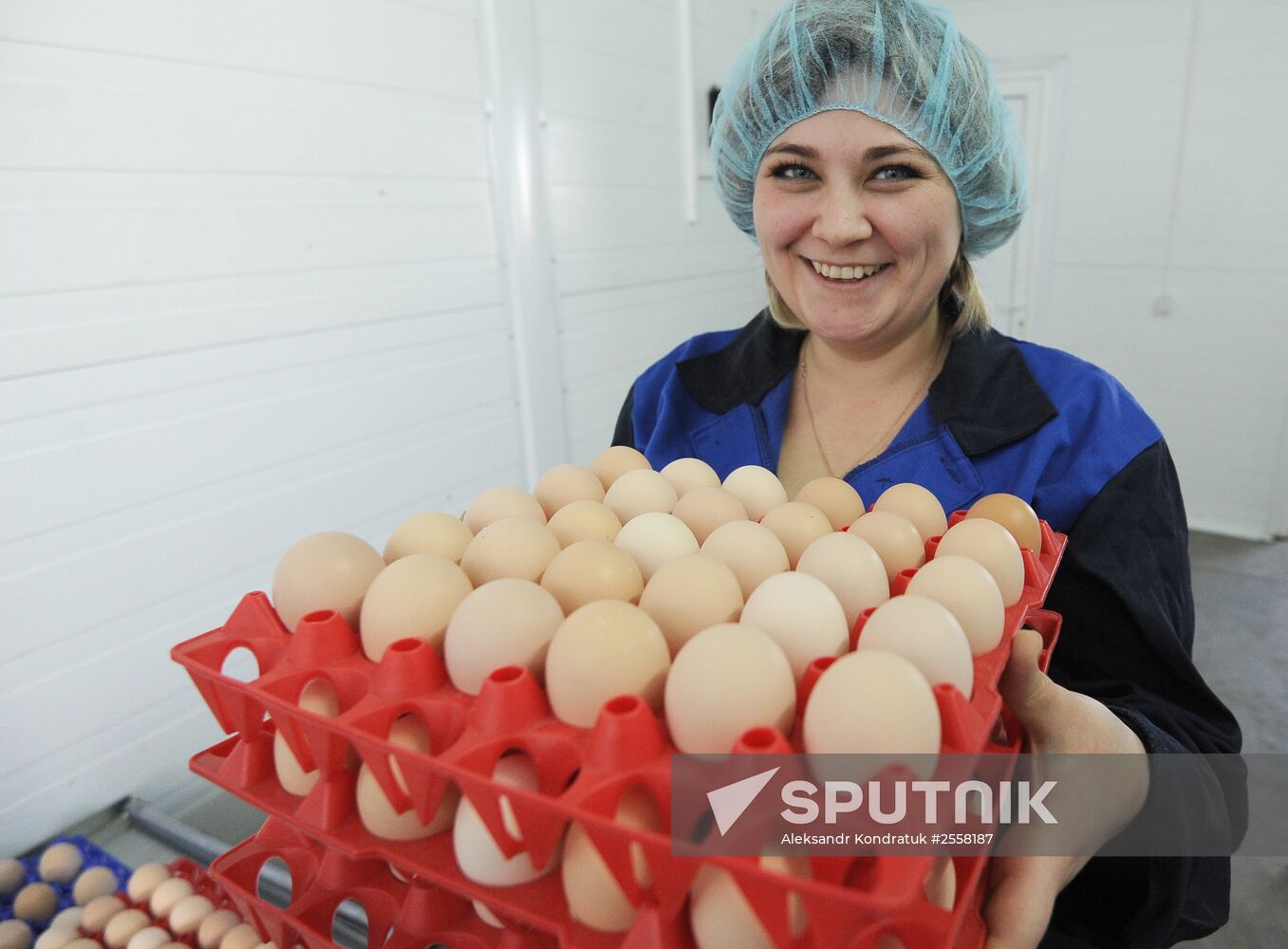 Nagaybaksky poultry complex in Chelyabinsk region