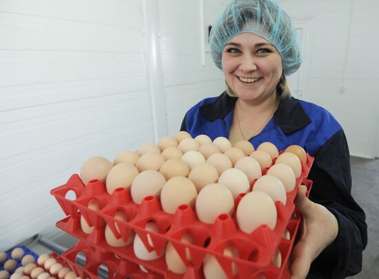 Nagaybaksky poultry complex in Chelyabinsk region