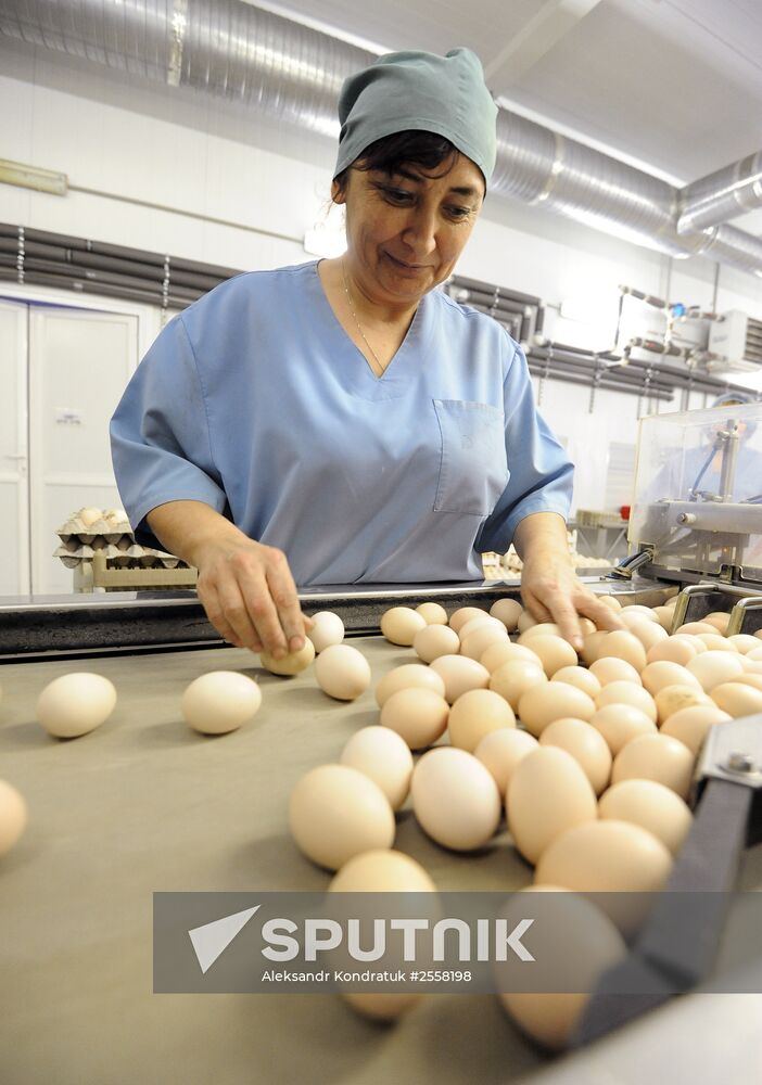 Nagaybaksky poultry complex in Chelyabinsk region