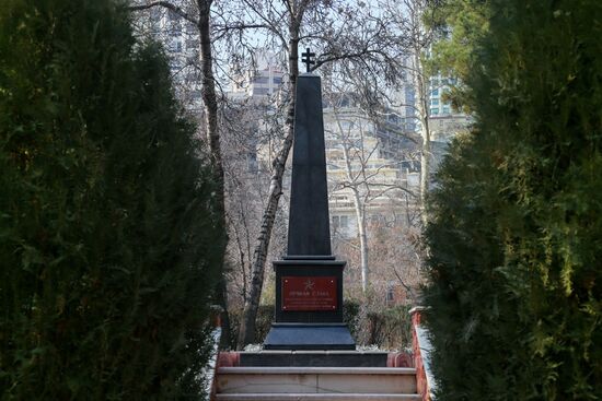 Russian Defense Minister Sergei Shoigu visits Iran