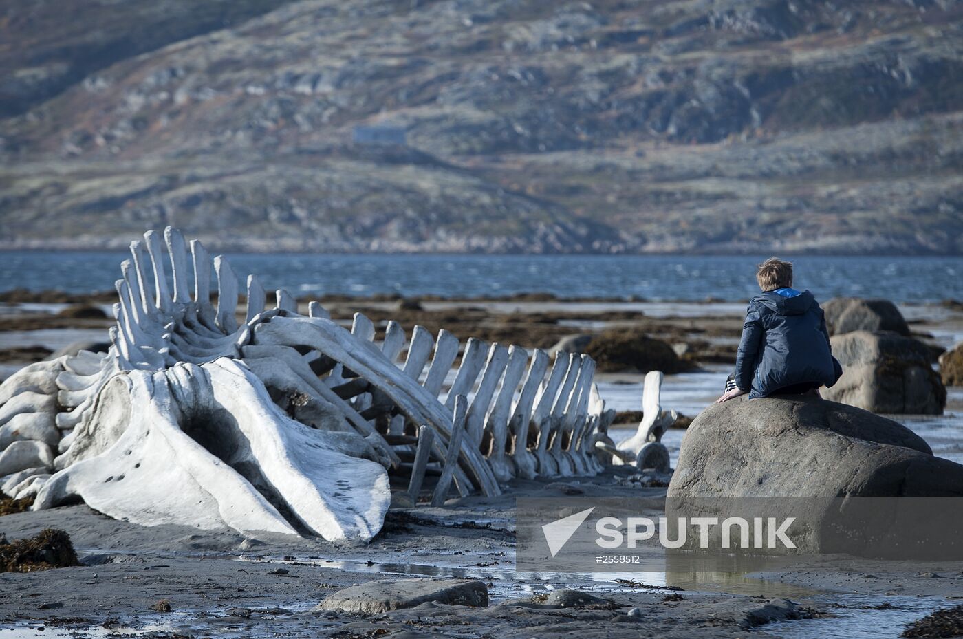 Takes from Andrey Zvyagintsev's movie "Leviathan"