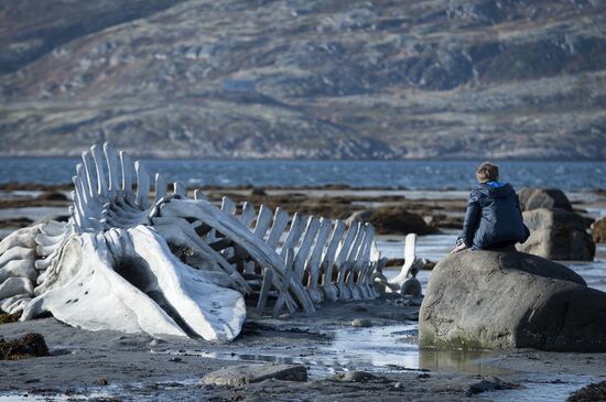 Takes from Andrey Zvyagintsev's movie "Leviathan"