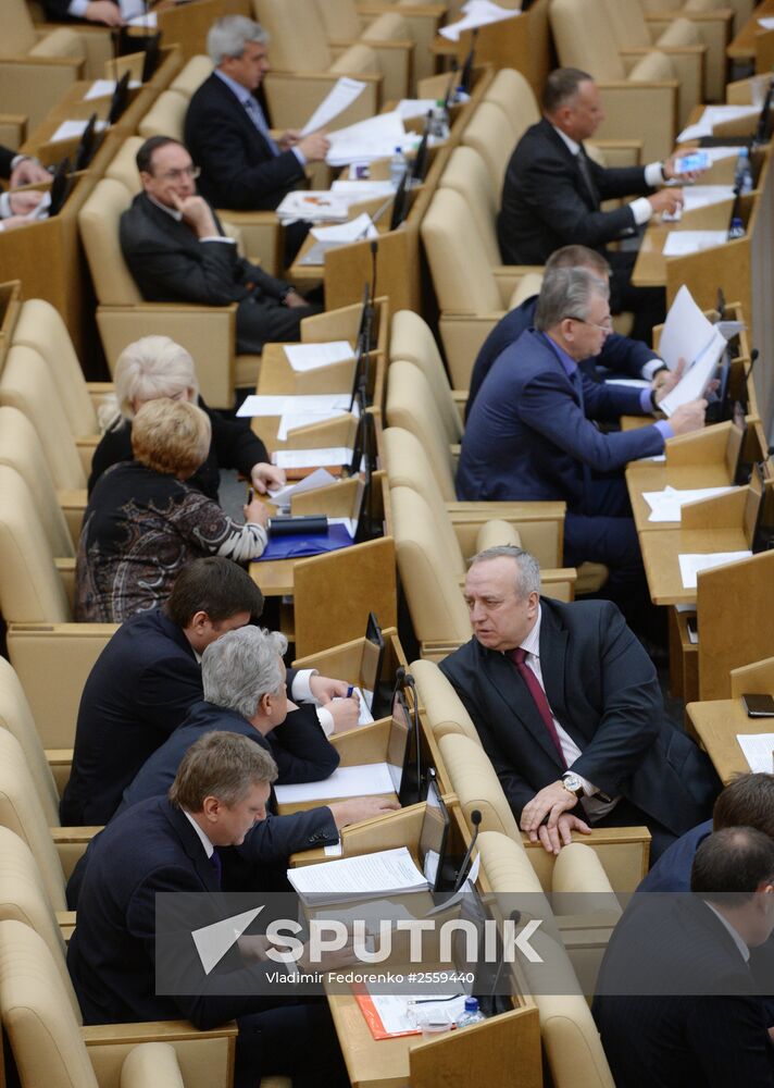 State Duma plenary meeting