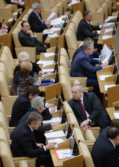 State Duma plenary meeting