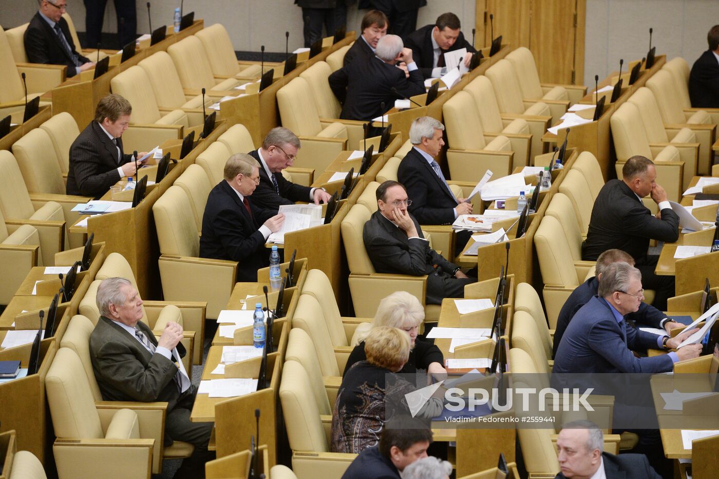 State Duma plenary meeting