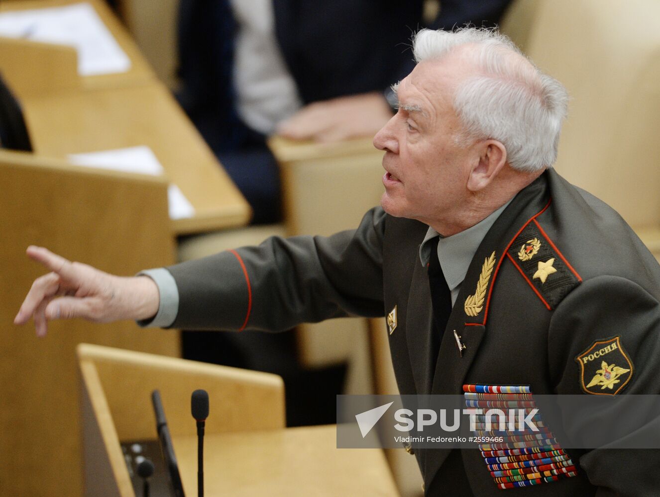 State Duma plenary meeting
