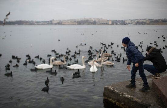 Russian regions. Crimea