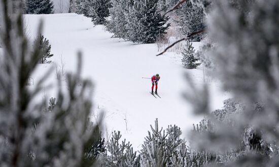 FIS World Cup. Cross Country Skiing. Men's individual race