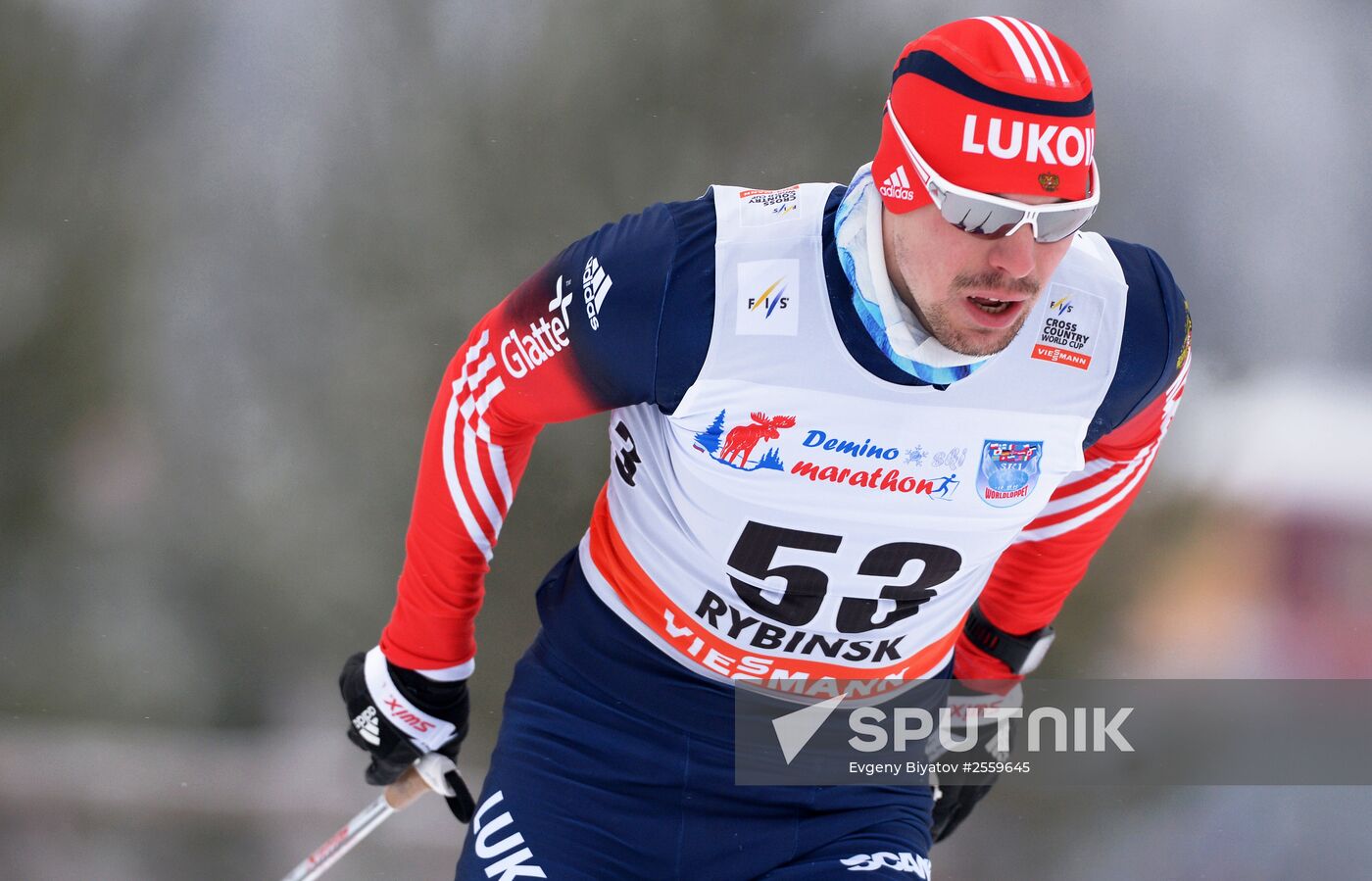 FIS World Cup. Cross Country Skiing. Men's individual race