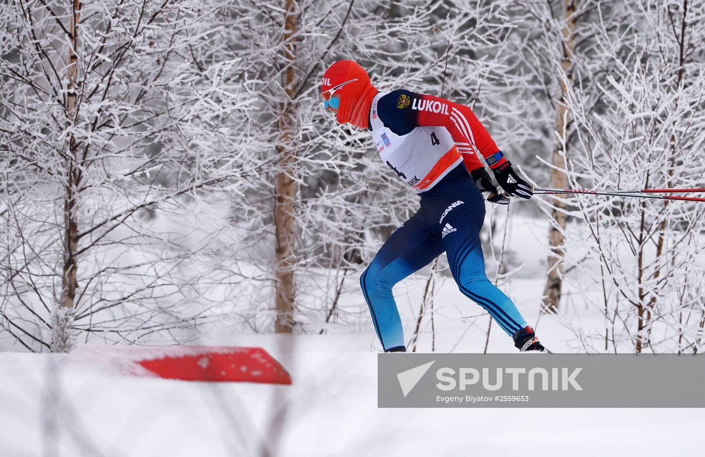 FIS World Cup. Cross Country Skiing. Men's individual race