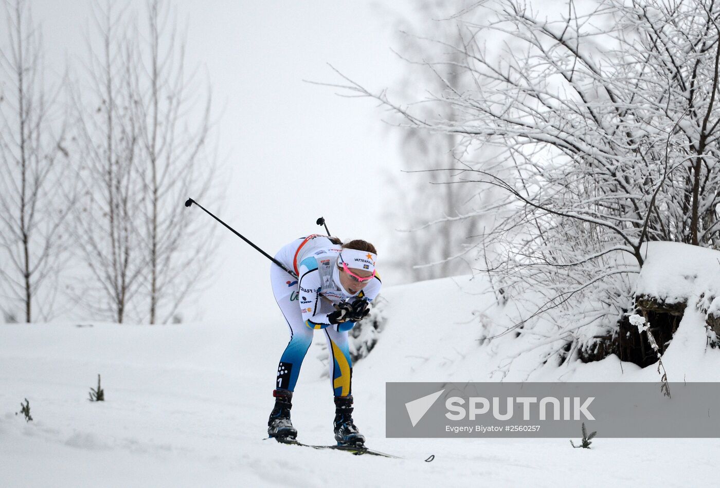 FIS World Cup. Cross Country Skiing. Women's sprint