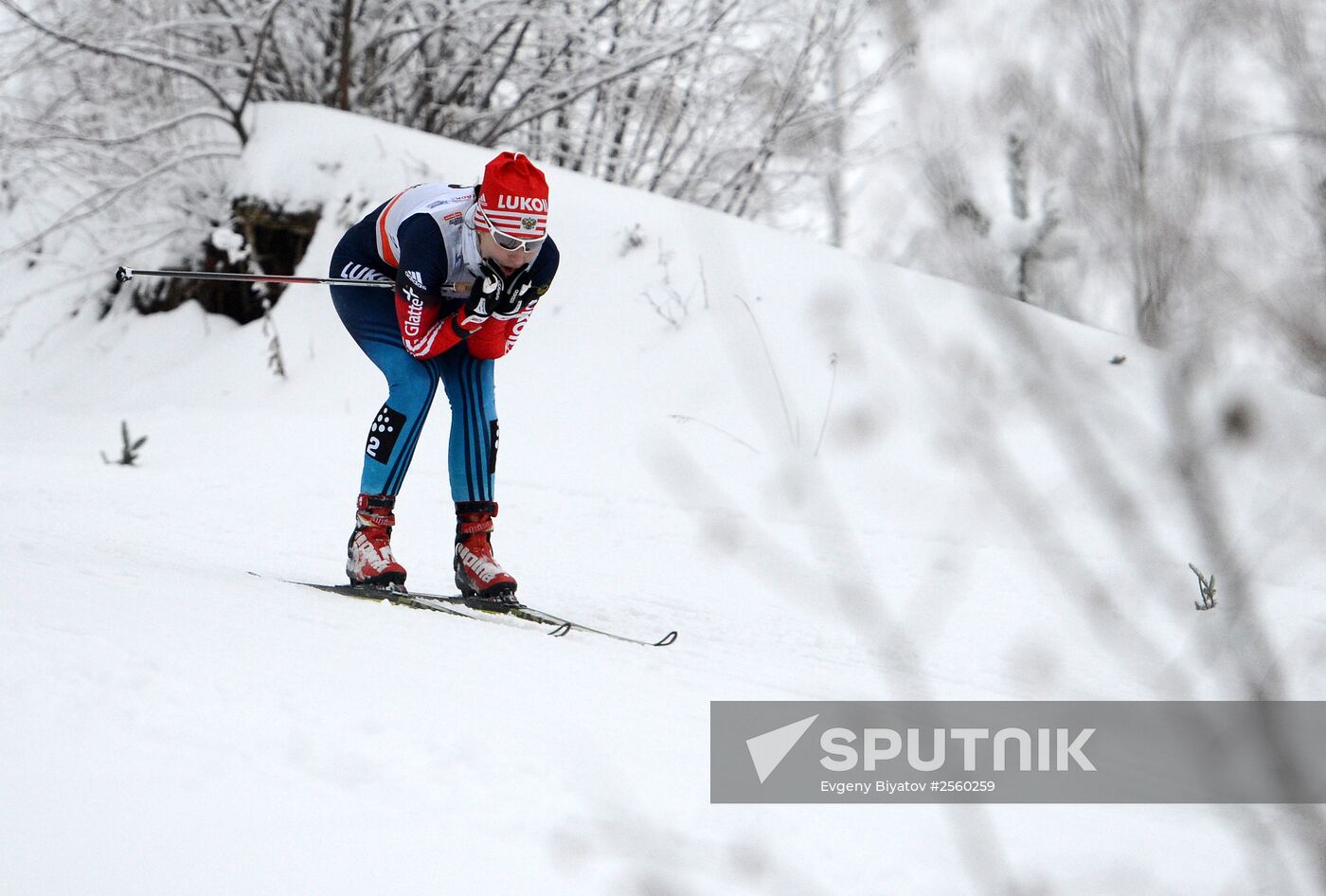 FIS World Cup. Cross Country Skiing. Women's sprint