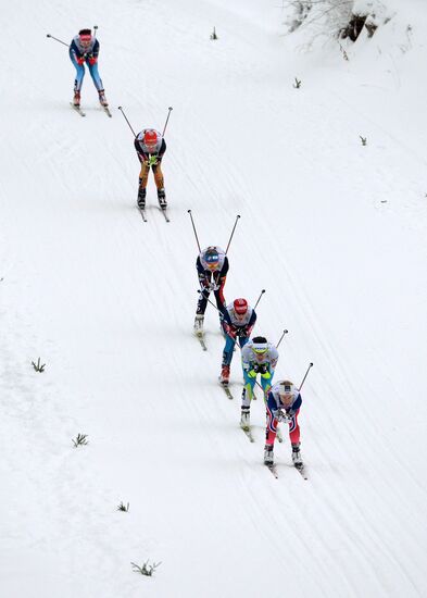 FIS World Cup. Cross Country Skiing. Women's sprint