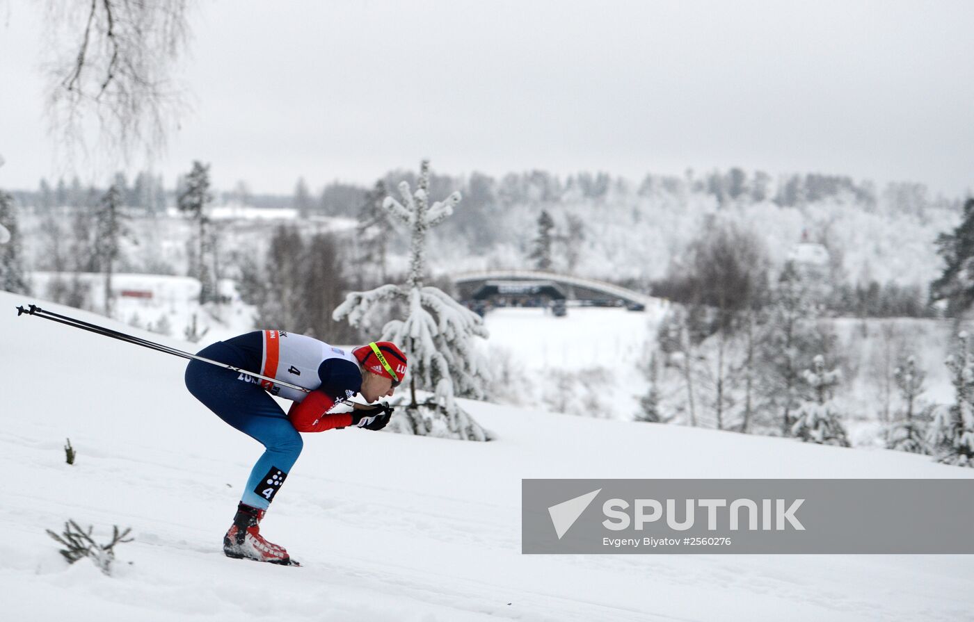 FIS World Cup. Cross Country Skiing. Women's sprint